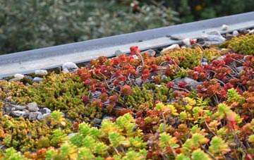 the cost of Hoaden green roof installation