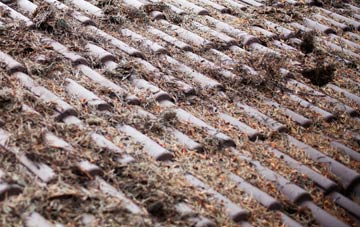 Hoaden roof cleaning companies