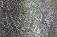 Hoaden fibreglass roof work